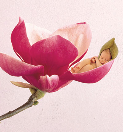 Anne Geddes bloemenelfje