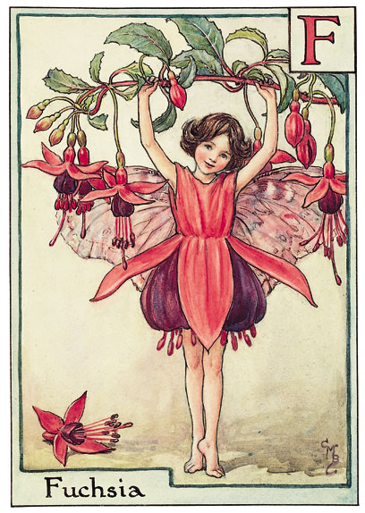 Cicely Mary Barker Fushsia flower fairy