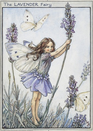 Cicely Mary Barker Lavender flower fairy