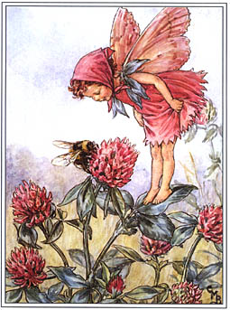 Cicely Mary Barker clover flower fairy